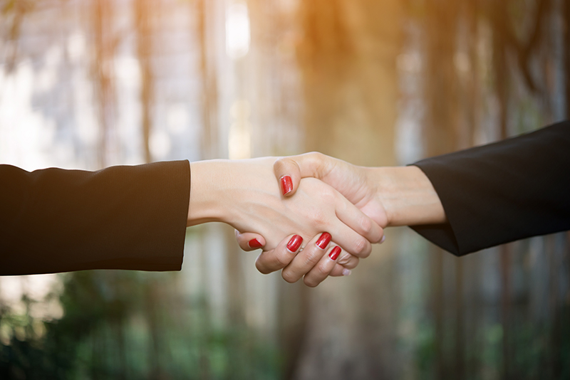 Peak Success Sponsorship